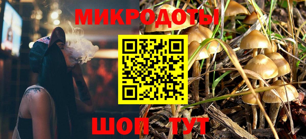Иваново  цены   Вход с VPN  Псилоцибиновые грибы Psilocybine cubensis 