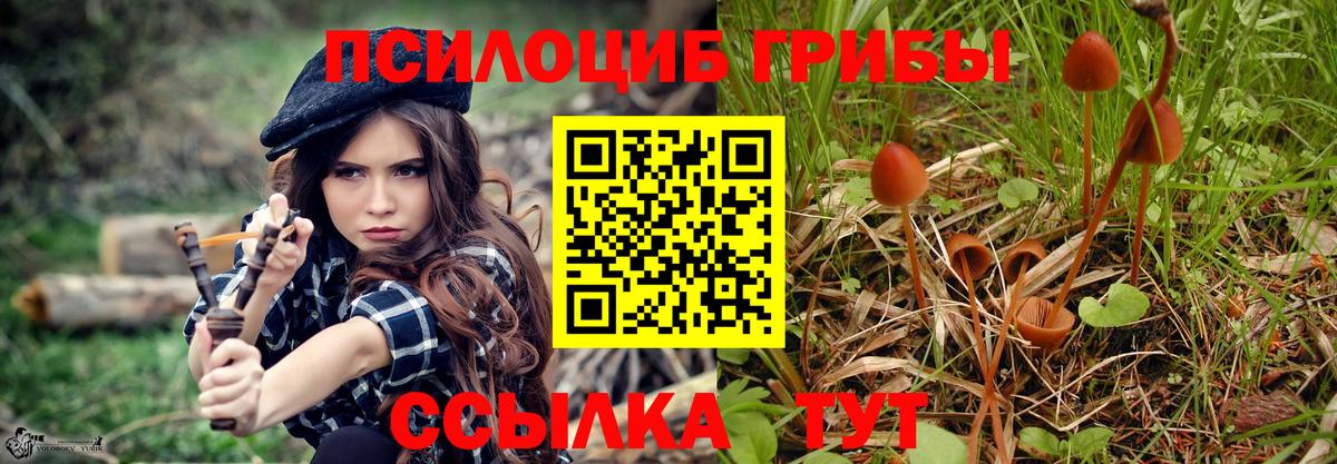 Псилоцибиновые грибы ЛСД Иваново